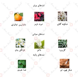ادکلن زنانه گوچی فلورا گورجس گاردنیا جانوین