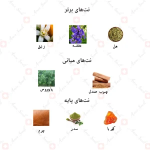 ادکلن یونیسکس لیمیتد سانتال اینتنسیو جانوین