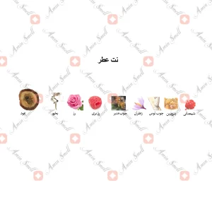 ادکلن یونیسکس آمبر ودد جانوین