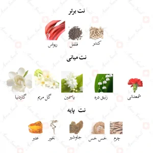 ادکلن مردانه هانست جانوین