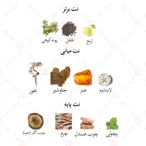 ادکلن مردانه اینترلود جانوین