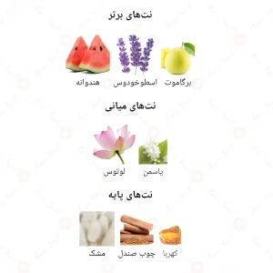 ادکلن مردانه بلو جانوین
