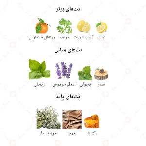 ادکلن مردانه ادونچرس جانوین