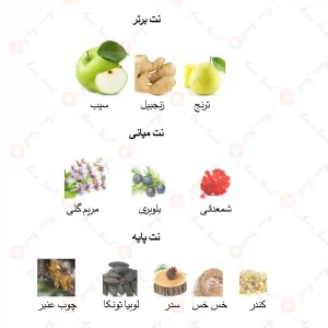 ادکلن زنانه جی وای جانوین
