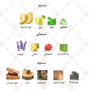 ادکلن مردانه بلو د شنل پارفوم جانوین