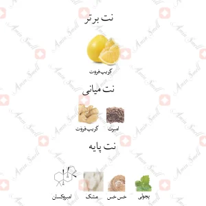 ادکلن مردانه بولگاری تارگت اینتنس