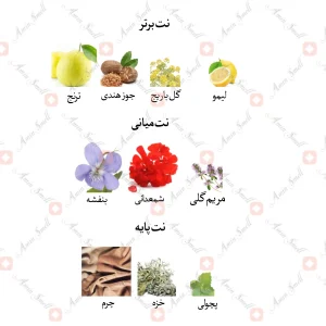 ادکلن مردانه تراست اومو جانوین