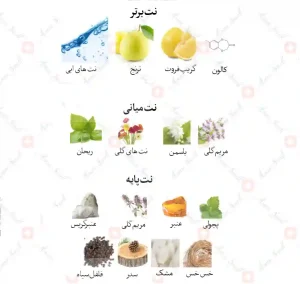 ادکلن مردانه جیورجی لاین جانوین