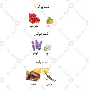 ادکلن مردانه ساینینگ ویت یو جانوین