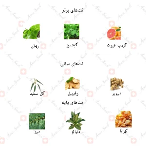 ادکلن مردانه د وان جانوین