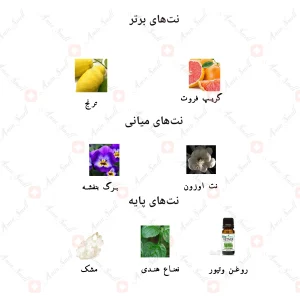 ادکلن مردانه بلو اینتنس جانوین