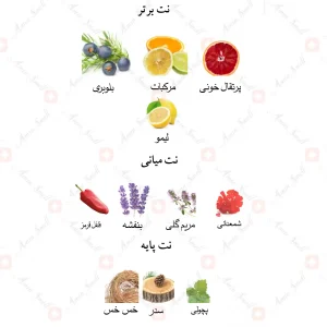 ادکلن مردانه کی کینگ جانوین