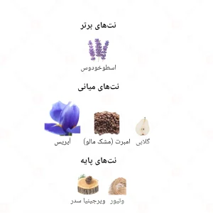 ادکلن مردانه د هوم اینتنس جانوین
