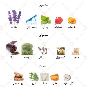 ادکلن مردانه سورپریسو پور هوم جانوین