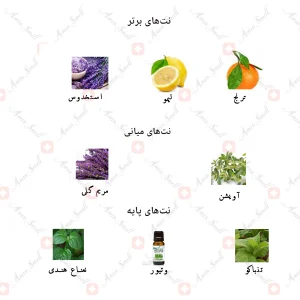 ادکلن مردانه جکوینز پالادیوم 68
