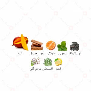 ادکلن مردانه پی اند او بلک جانوین
