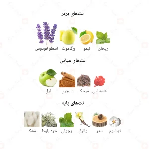 ادکلن مردانه شیخ ۷۷ جانوین
