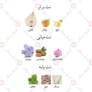 ادکلن مردانه زین فور من جانوین