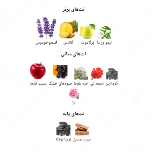 ادکلن مردانه لجندری بلک جانوین