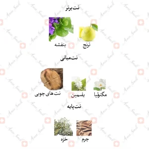 ادکلن مردانه بلک لجندری پارفوم جانوین 