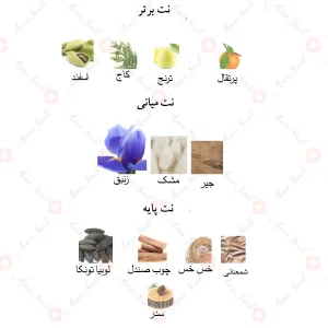 ادکلن مردانه نارسیسو رودریگز بلو نویر جانوین