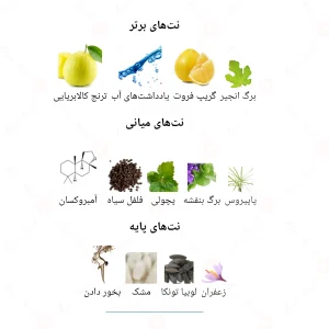 ادکلن مردانه پور هوم دیپ بلو جانوین