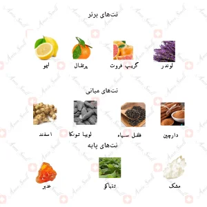ادکلن مردانه د مارکاتو اینتنس من جانوین