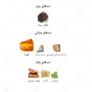 ادکلن مردانه اینتنسیو جانوین