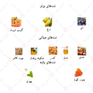 ادکلن مردانه میلیتون لرد جانوین