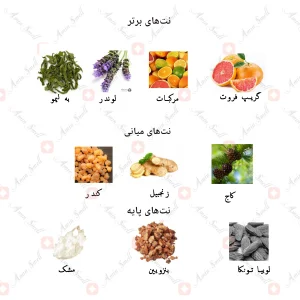 ادکلن مردانه پور هوم اسپرت جانوین