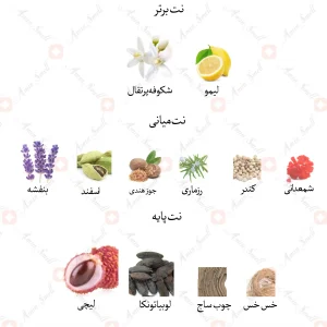 ادکلن مردانه سیلور سنس جانوین