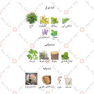 ادکلن مردانه پور هوم اکسترا جانوین