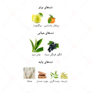 ادکلن مردانه سیلور مانتین واتر جانوین