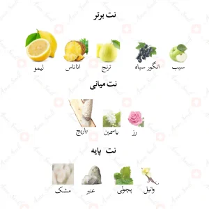 ادکلن مردانه کلاب اینتنس جانوین