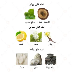 عطر مردانه افینیو الرحاب 6 میل