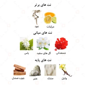 عطر مردانه امیر الرحاب 6 میل