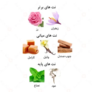 عطر مردانه اَصیل الرحاب 6 میل