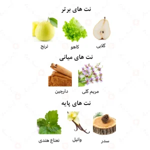 عطر مردانه اُلترا بلو الرحاب 6 میل