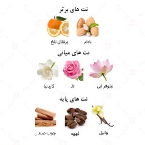 عطر مردانه اِسترووُلوس الرحاب 6 میل