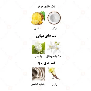 عطر زنانه تالیا الرحاب 6 میل