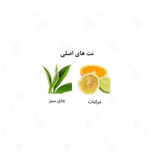 عطر یونیسکس جرين تي الرحاب 6 میل