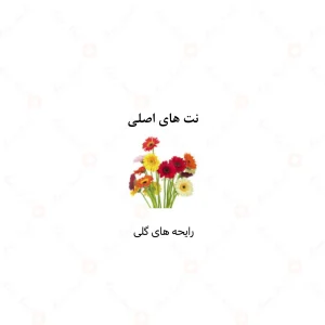 عطر یونیسکس گلدن گلیترز الرحاب 6 میل