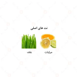 عطر مردانه داکار الرحاب 6 میل