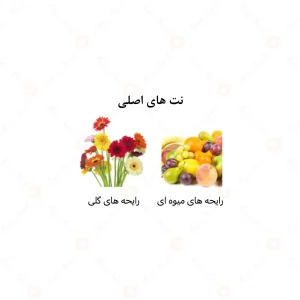 عطر زنانه رَشا الرحاب 6 میل