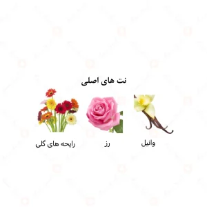 عطر زنانه رِد رُز الرحاب 6 میل