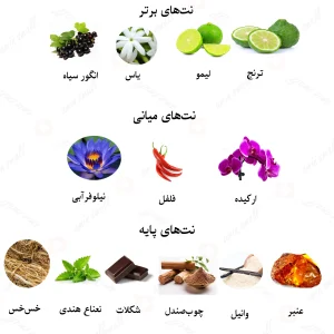 ادکلن یونیسکس تام فورد بلک ارکید بنتلی