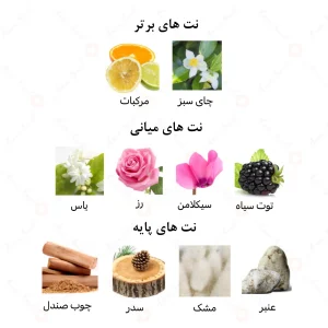 عطر یونیسکس سیلور الرحاب 6 میل