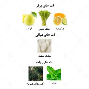 عطر مردانه شیخ الرحاب 6 میل