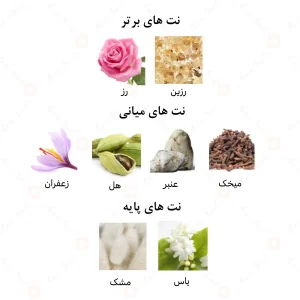 عطر زنانه شیخه الرحاب 6 میل
