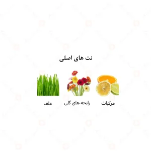 عطر زنانه صَبایا الرحاب 6 میل